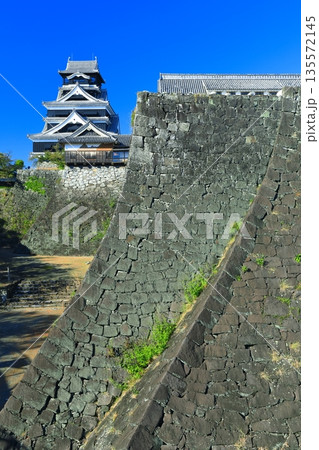 【熊本県】快晴の熊本城と二様の石垣 135572145