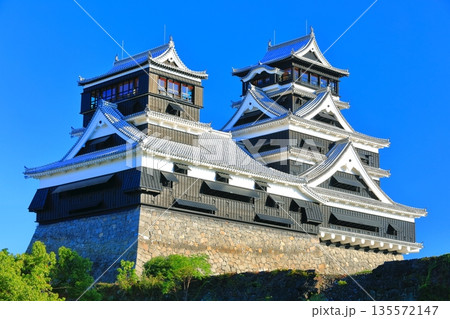【熊本県】快晴の熊本城大天守と小天守 【熊本県】快晴の熊本城大天守と小天守 135572147