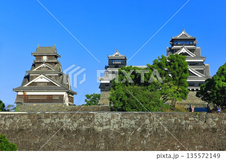 【熊本県】快晴の熊本城大天守と小天守と宇土櫓 135572149