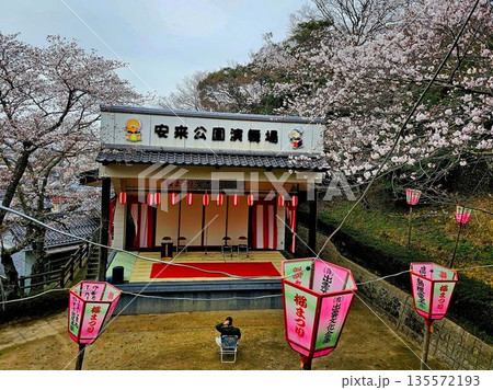 安来公園桜祭り 135572193