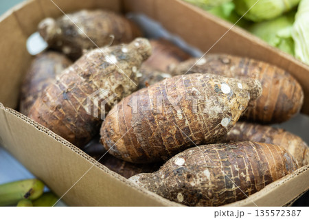 Yucca roots lie on counter of grocery store 135572387