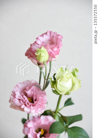 ばらとトルコ桔梗 135572550