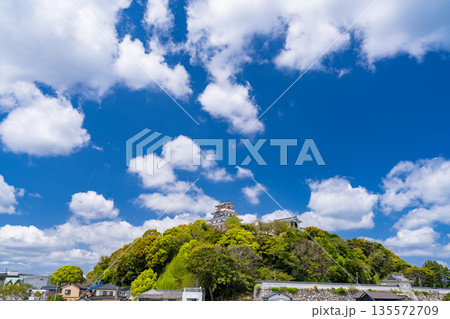 《佐賀県》唐津城・新緑シーズン 《佐賀県》唐津城・新緑シーズン 135572709