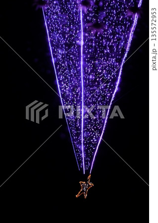 イルミネーション　足利フラワーパーク 135572953