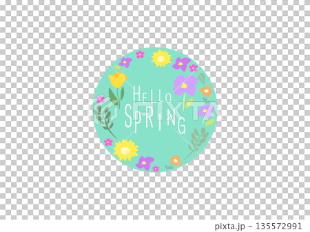 Pastel color background with scattered spring flowers Pastel color background with scattered spring flowers 135572991