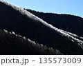 輝く稜線 135573009