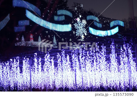 イルミネーション　足利フラワーパーク 135573090