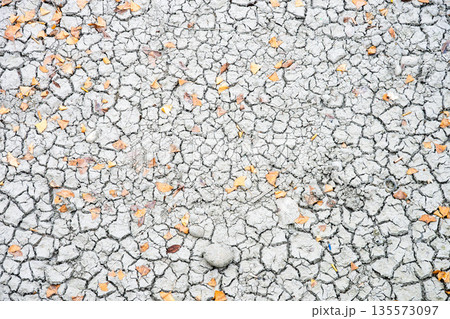 Dry cracked soil with fallen leaves in Chengdu Sichuan China 135573097