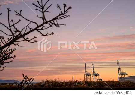 夕暮れの港に立つガントリークレーン　一日の終わりの輪郭 Gantry Cranes at Dusk  135573409