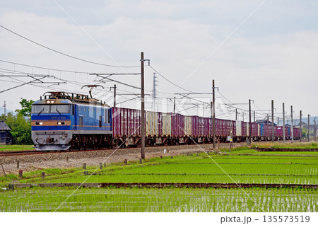 あいの風とやま鉄道 福岡-石動 JR貨物 EF510-505(富山) あいの風とやま鉄道 福岡-石動 JR貨物 EF510-505(富山) 135573519