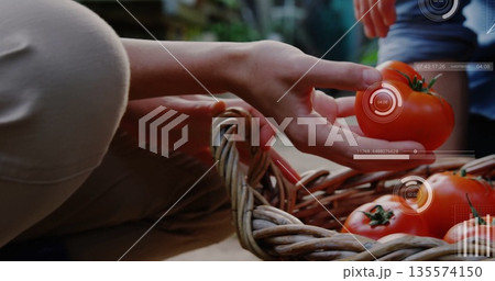Couple's hands gathering ripe tomatoes from wicker basket on garden patio, with AR data Couple's hands gathering ripe tomatoes from wicker basket on garden patio, with AR data 135574150