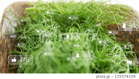Showing fresh green herb sprigs on dark wooden board, with floating social media icons Showing fresh green herb sprigs on dark wooden board, with floating social media icons 135574159