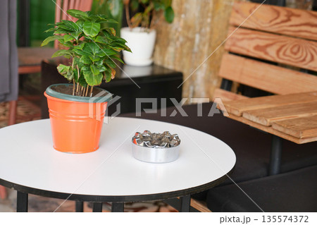 Cozy outdoor seating with plants and decorative elements in focus 135574372