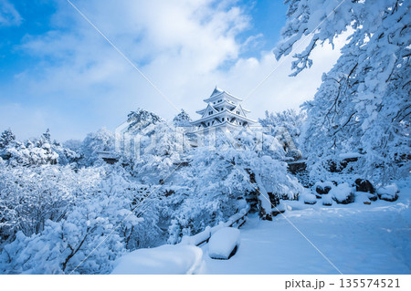 雪の郡上八幡城 雪の郡上八幡城 135574521