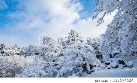 雪の郡上八幡城 135574524