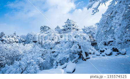 雪の郡上八幡城 135574525