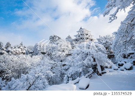 雪の郡上八幡城 雪の郡上八幡城 135574529