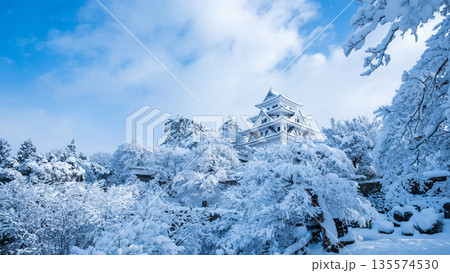 雪の郡上八幡城 雪の郡上八幡城 135574530