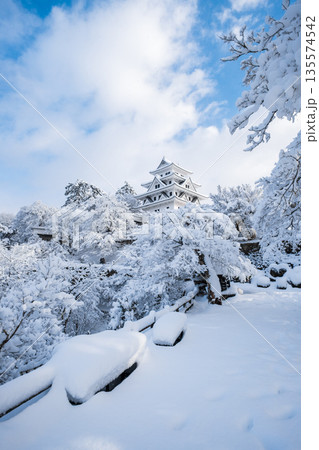 雪の郡上八幡城 雪の郡上八幡城 135574542