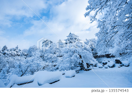 雪の郡上八幡城 135574543