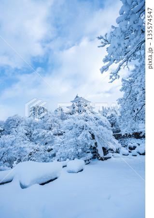 雪の郡上八幡城 135574547
