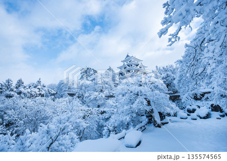 雪の郡上八幡城 雪の郡上八幡城 135574565