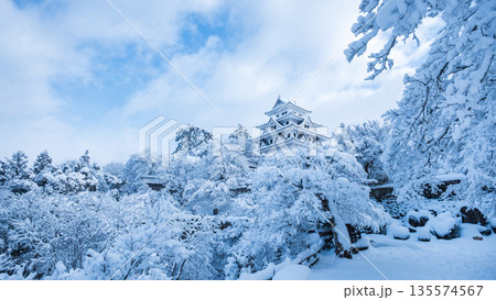 雪の郡上八幡城 雪の郡上八幡城 135574567