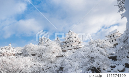 雪の郡上八幡城 135574599