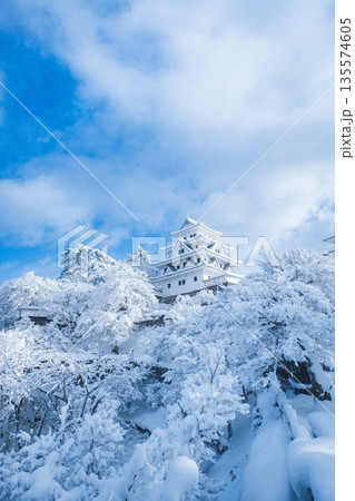 雪の郡上八幡城 雪の郡上八幡城 135574605