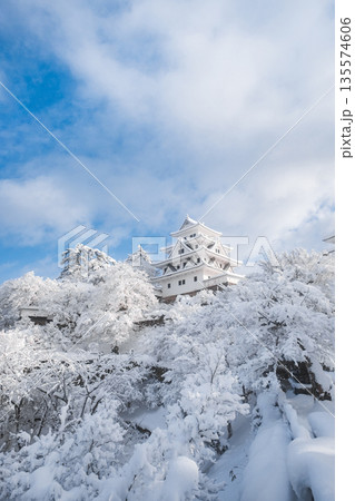 雪の郡上八幡城 雪の郡上八幡城 135574606