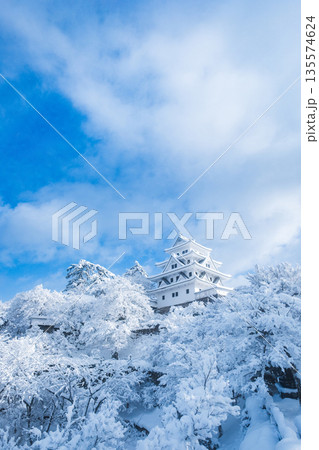 雪の郡上八幡城 雪の郡上八幡城 135574624