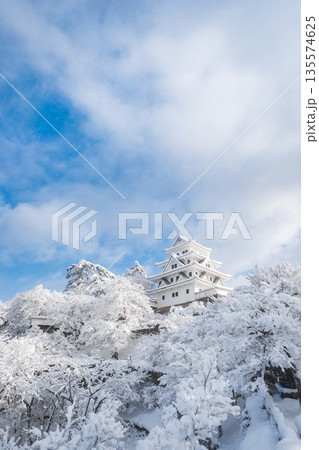 雪の郡上八幡城 雪の郡上八幡城 135574625