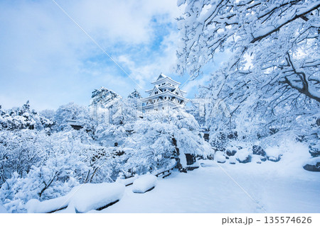 雪の郡上八幡城 雪の郡上八幡城 135574626