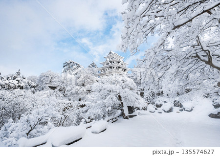 雪の郡上八幡城 雪の郡上八幡城 135574627