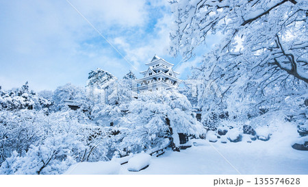 雪の郡上八幡城 雪の郡上八幡城 135574628