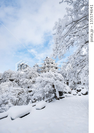 雪の郡上八幡城 雪の郡上八幡城 135574641