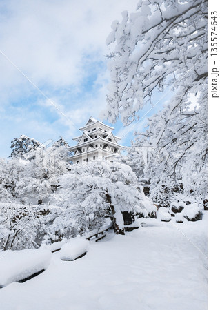 雪の郡上八幡城 雪の郡上八幡城 135574643