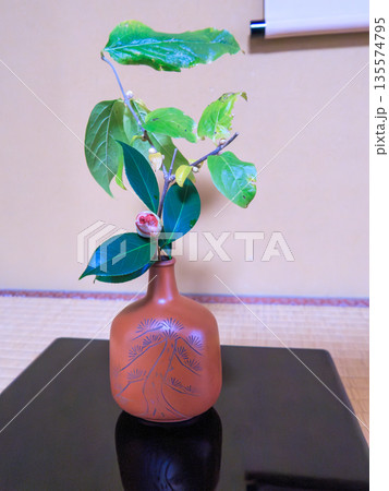 茶席にそっと添えられた一輪　静けさを生ける和の花 A Single Flower in Tea Ce 135574795