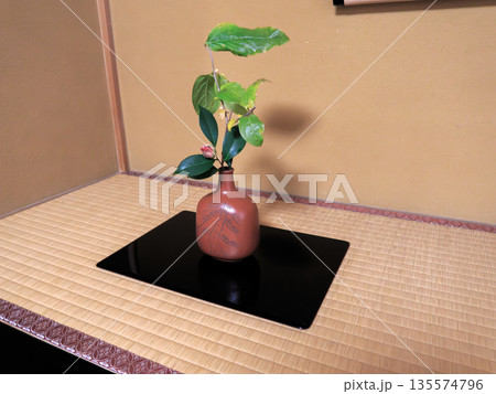 茶席にそっと添えられた一輪　静けさを生ける和の花 A Single Flower in Tea Ce 135574796