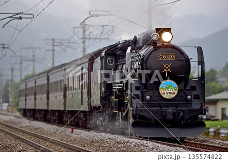上越線　後閑－沼田　JR東日本　C61-20＋旧客（高崎）　SLぐんまみなかみ 135574822