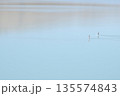 SUP 135574843