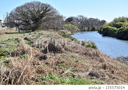 越谷散歩:元荒川 河川敷 越谷市大字三野宮 越谷散歩:元荒川 河川敷 越谷市大字三野宮 135575014