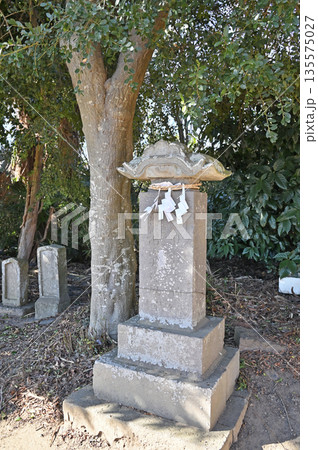 越谷散歩:三野宮香取神社 越谷市大字三野宮 越谷散歩:三野宮香取神社 越谷市大字三野宮 135575027