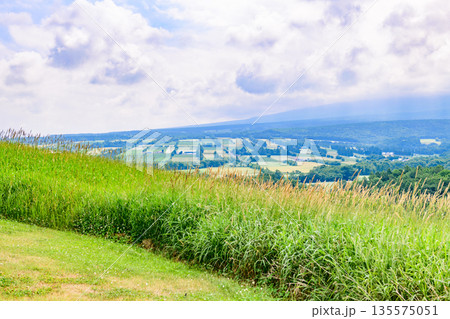 道東清里町のほしかぜの丘を歩く 135575051
