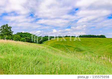 道東清里町のほしかぜの丘を歩く 135575056