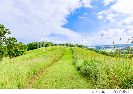 道東清里町のほしかぜの丘を歩く 135575061
