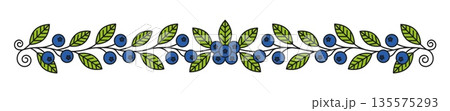 Garden blueberry leaves line divider or border. Garden berry outline frame border, forest ripe blueberry thin line vector divider. Fresh wild fruit linear outline separator line or underline spacer 135575293