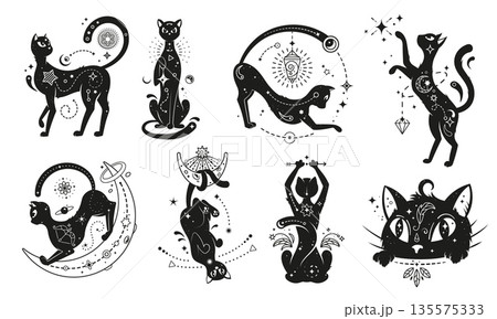 Black magic cats with mystic moon, stars and gothic celestial pattern. Halloween witch black magic cat animals vector silhouettes for witchcraft tattoo, tarot cards and astrology themes 135575333