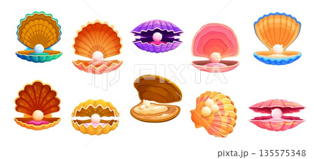 Cartoon pearl shell scallop, oyster or clam, isolated vector seashells set. Open sea shells of marine shellfish animals, color seashells with precious pearls inside. Underwater treasure gems set 135575348