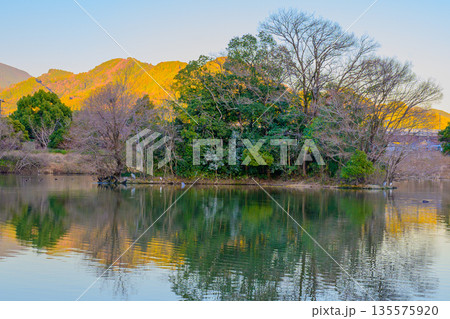 水面の静けさが空を映す池　麻機沼の穏やかな時間 Calm Reflections at Asahat 135575920